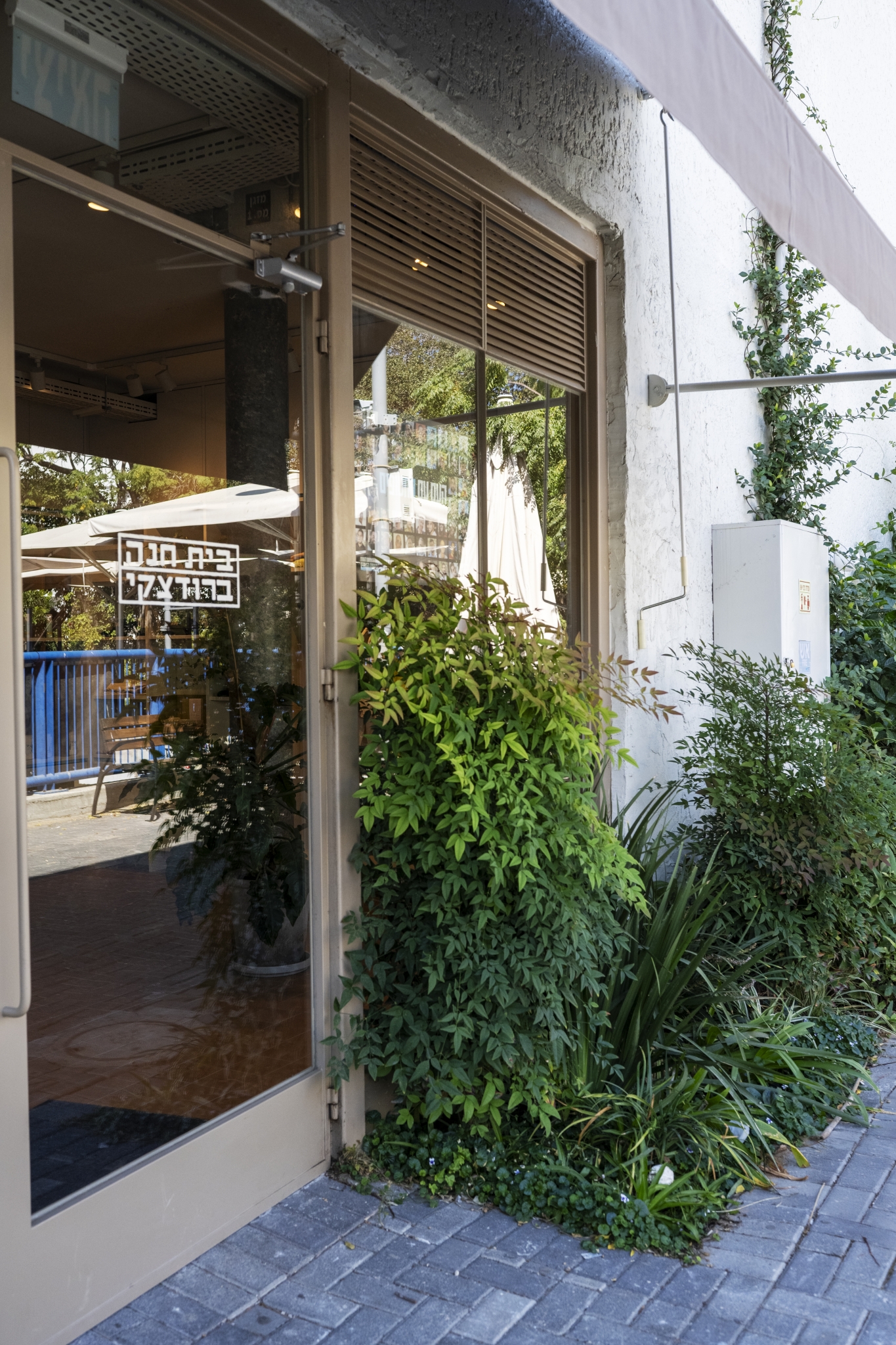 תמונה ברודצקי צפון רמת אביב