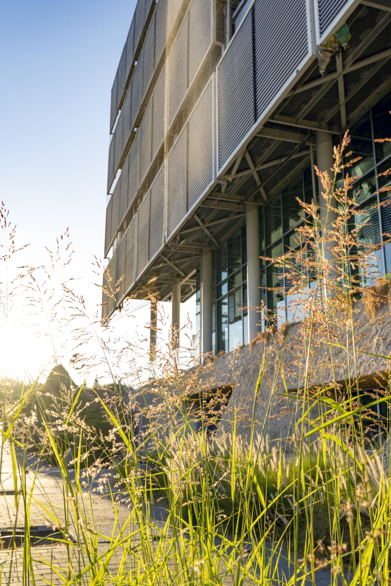 תמונה ברודצקי צפון רמת אביב