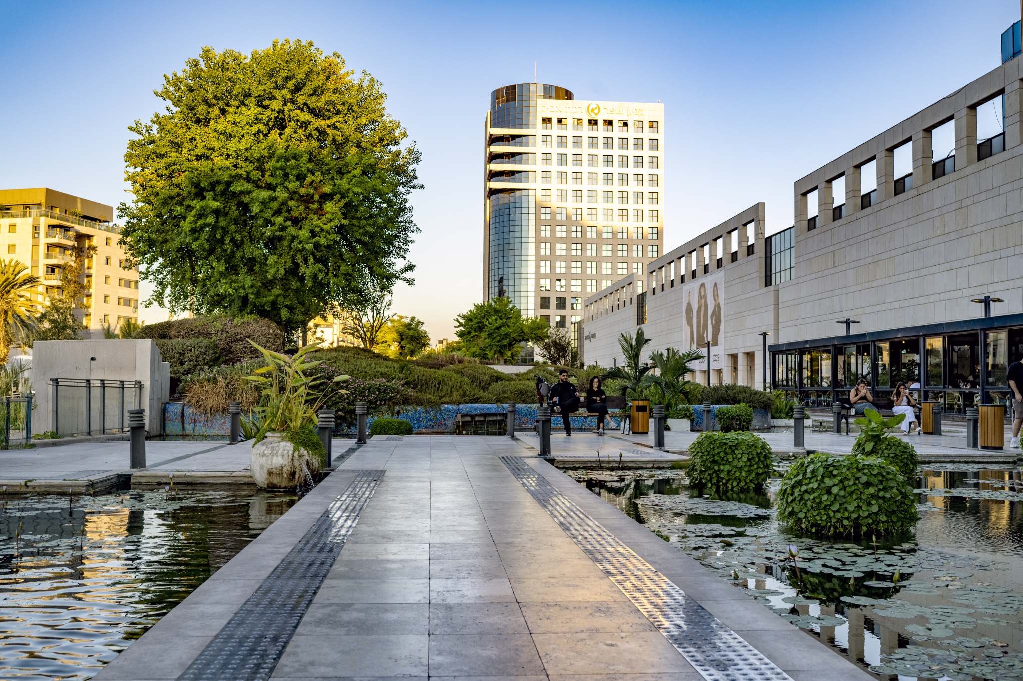 תמונה ברודצקי צפון רמת אביב