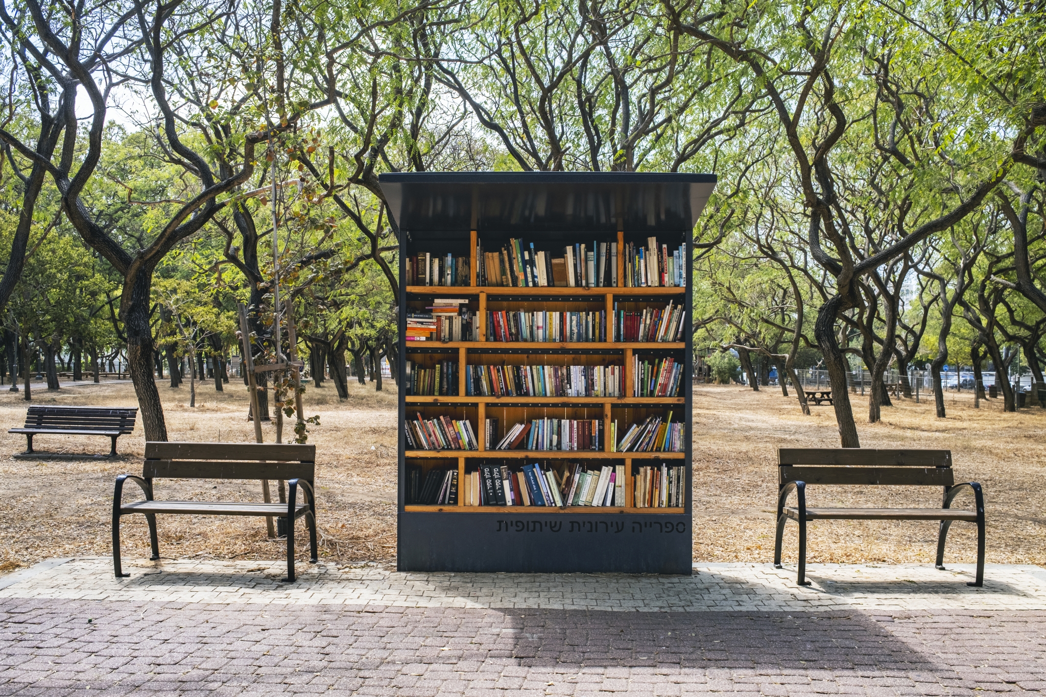 תמונה ברודצקי צפון רמת אביב